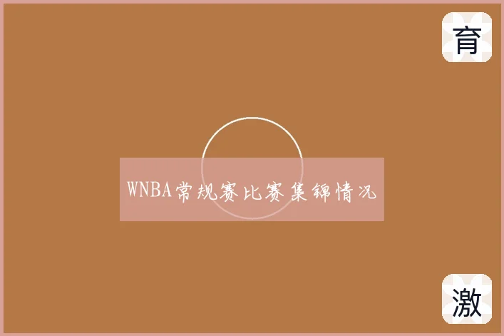 WNBA常规赛比赛集锦情况